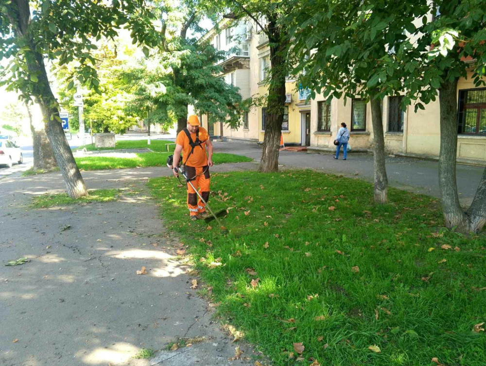 1094 image for slide