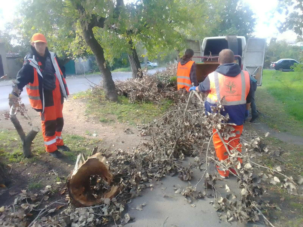 1100 image for slide