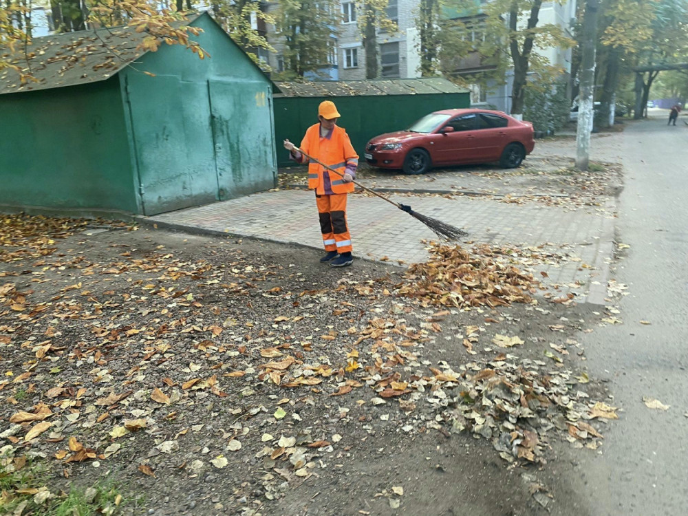 1103 image for slide