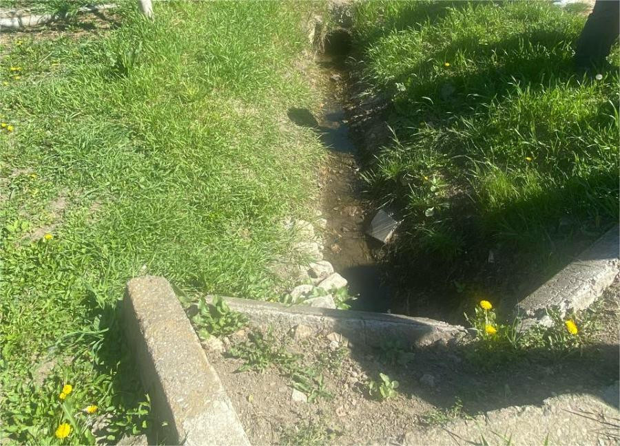 3621 image for slide