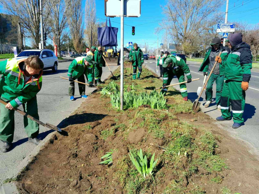 3989 image for slide