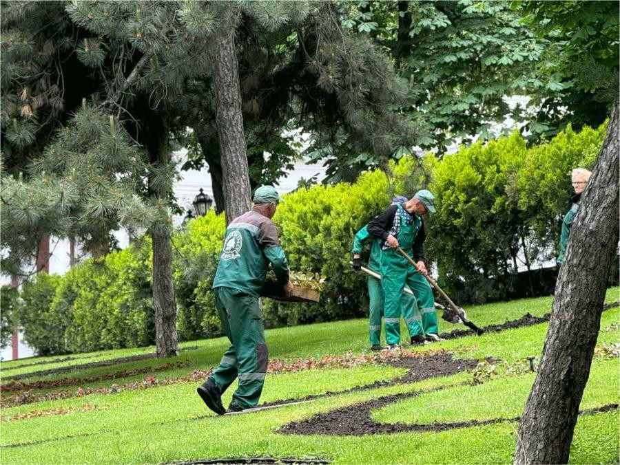 4238 image for slide