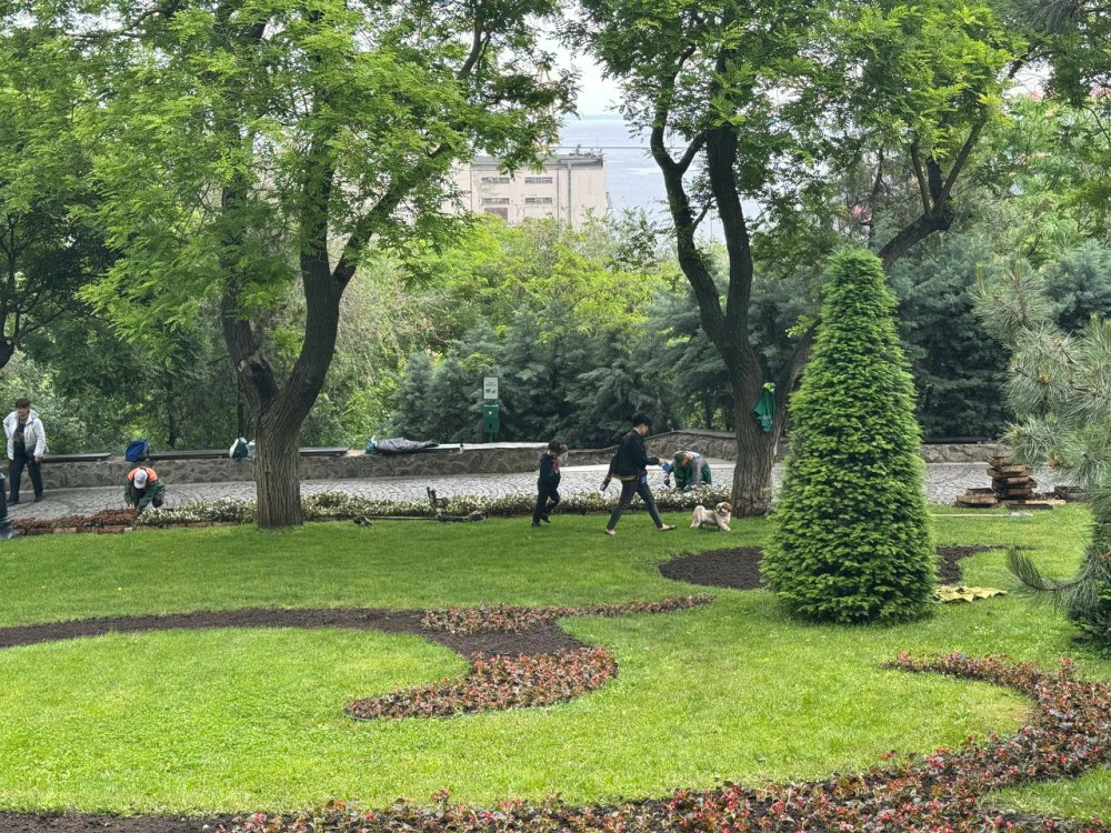 4240 image for slide