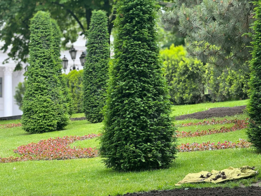 4241 image for slide