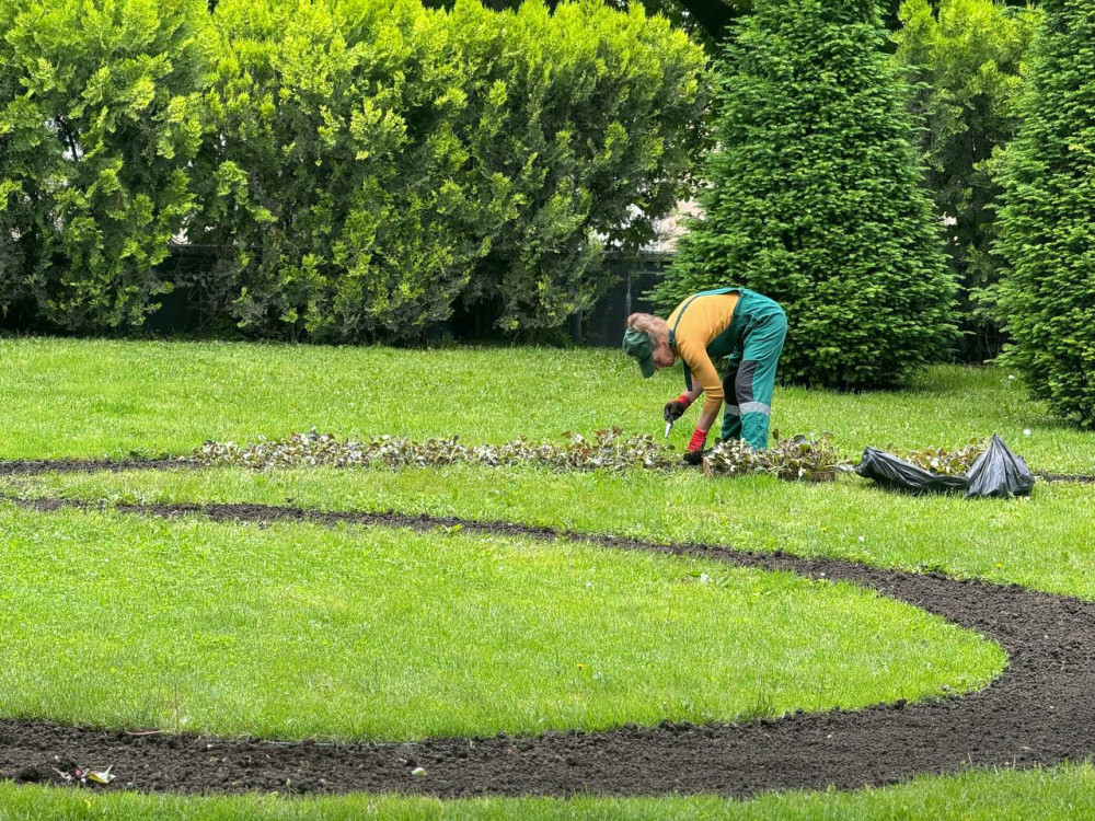 4242 image for slide