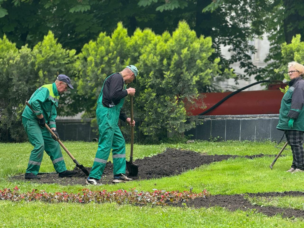 4246 image for slide