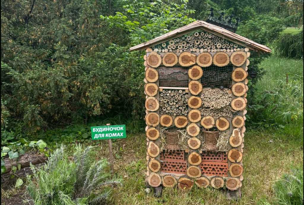 4363 image for slide