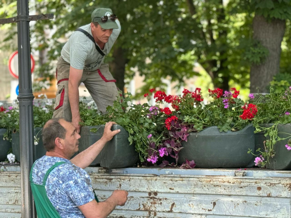 4426 image for slide