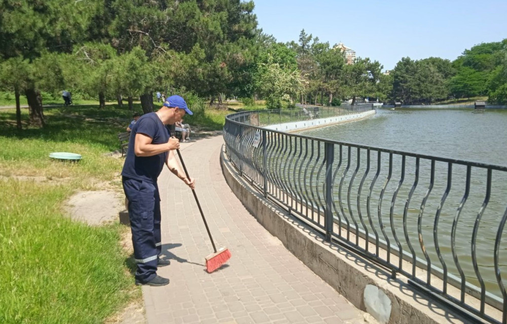 4772 image for slide