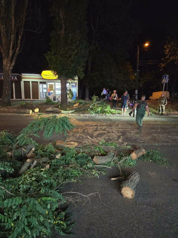 5538 image for slide