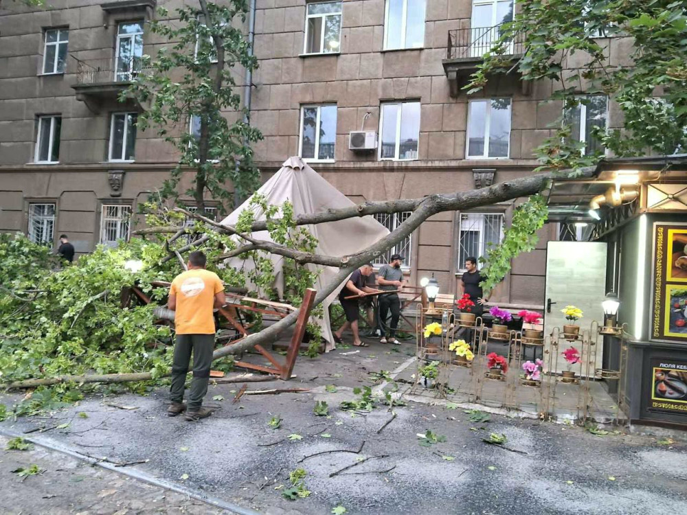 5544 image for slide