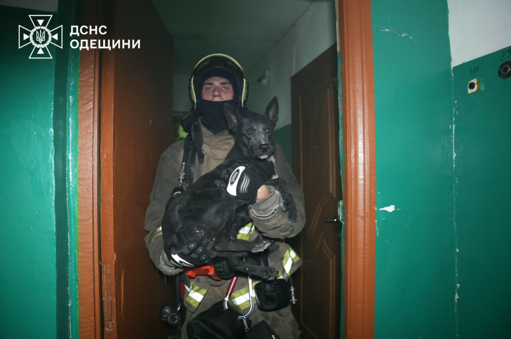 5573 image for slide