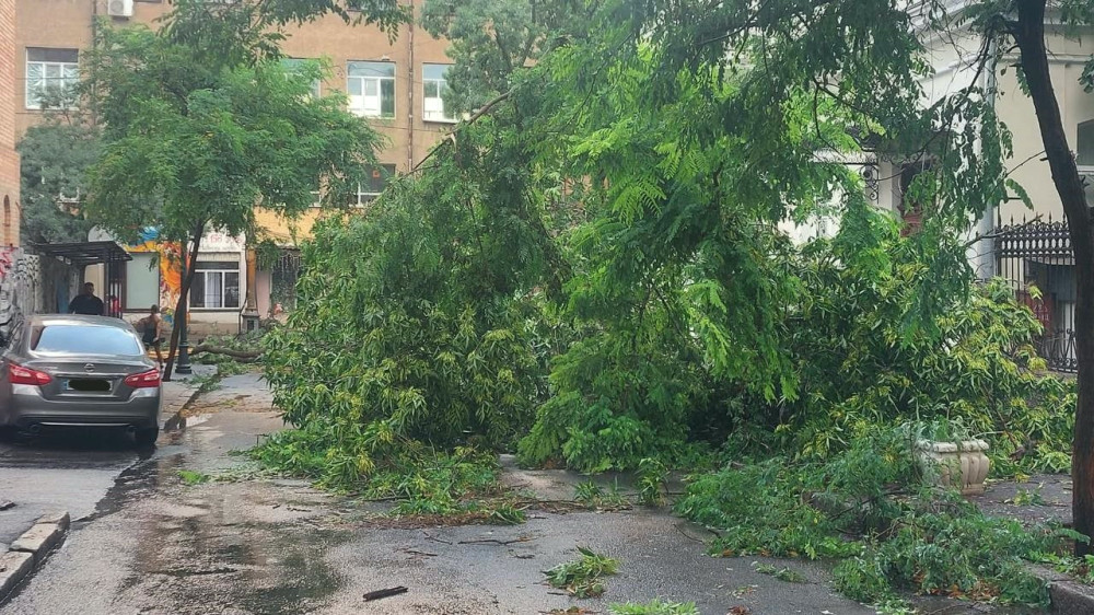 5707 image for slide