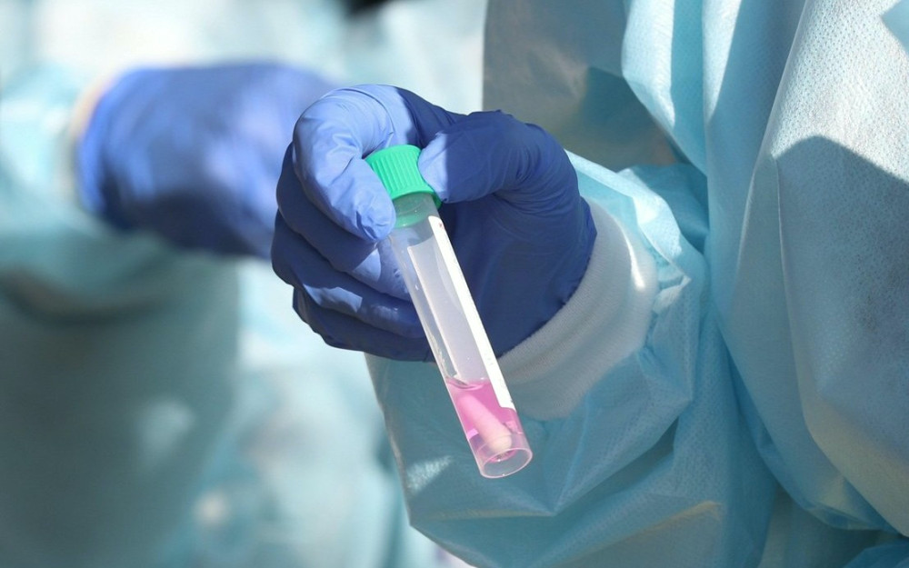 6135 image for slide