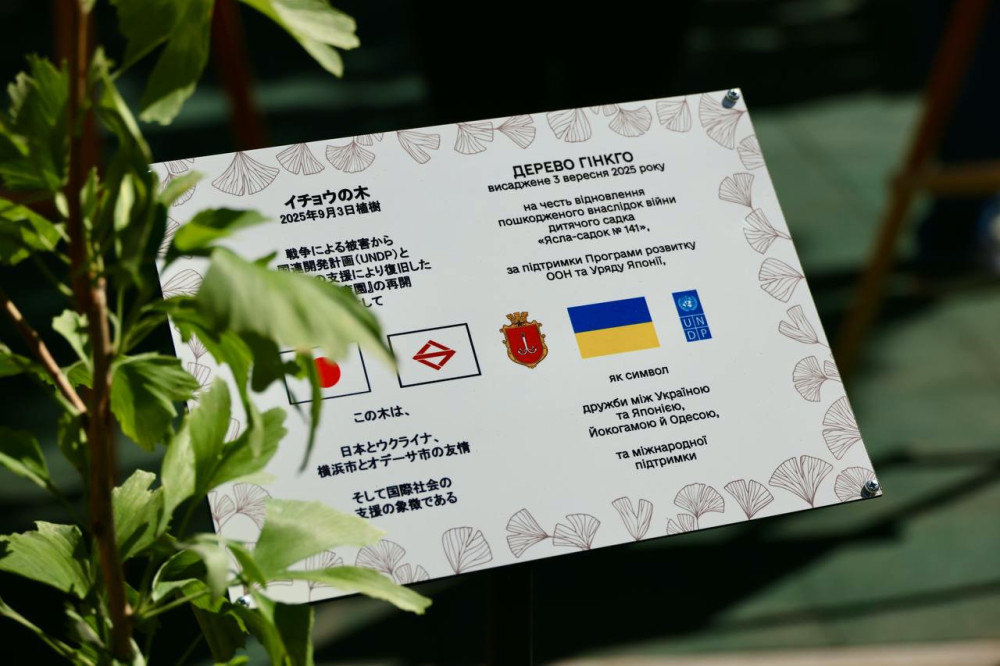 6519 image for slide