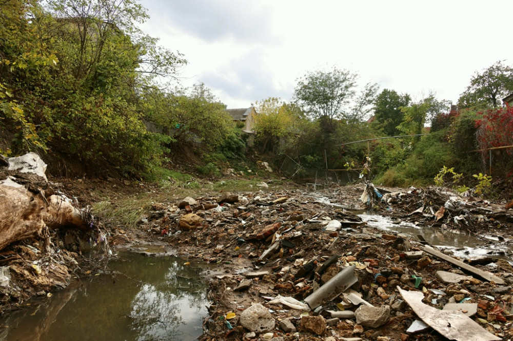 7283 image for slide