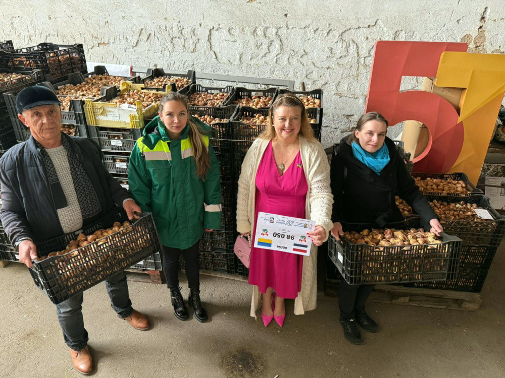 7571 image for slide