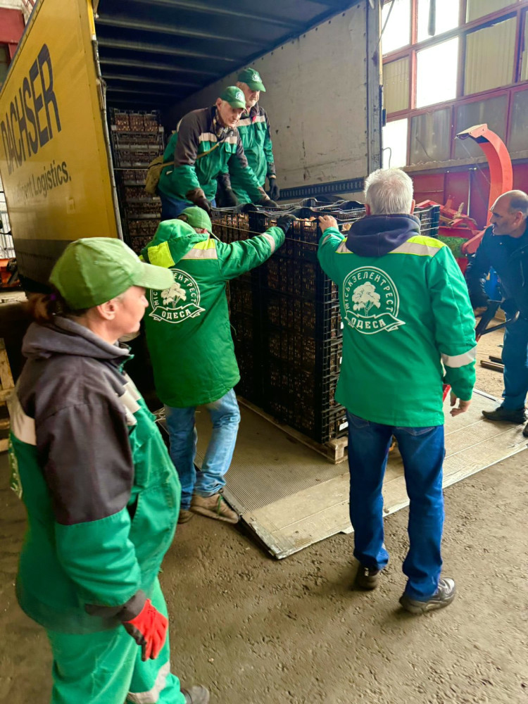 7573 image for slide