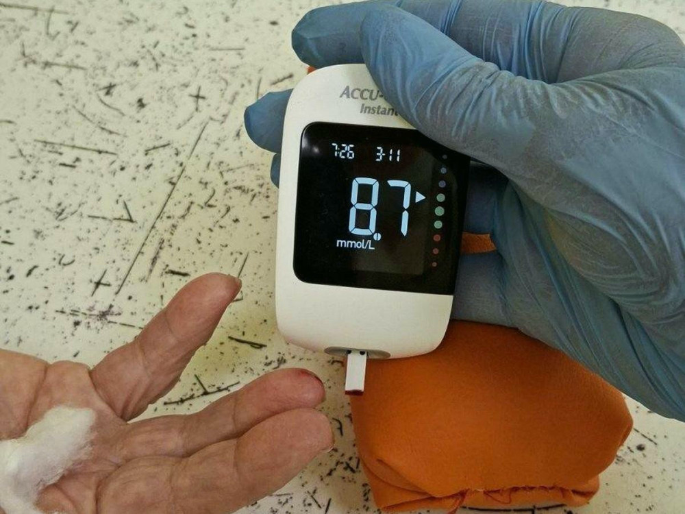 7731 image for slide