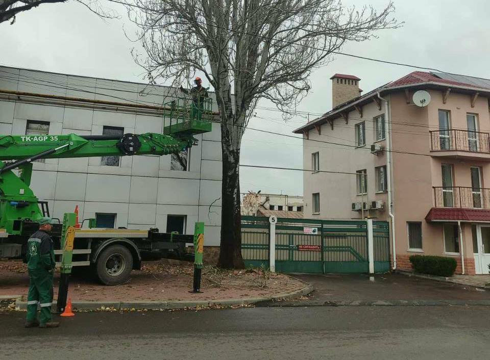 7841 image for slide