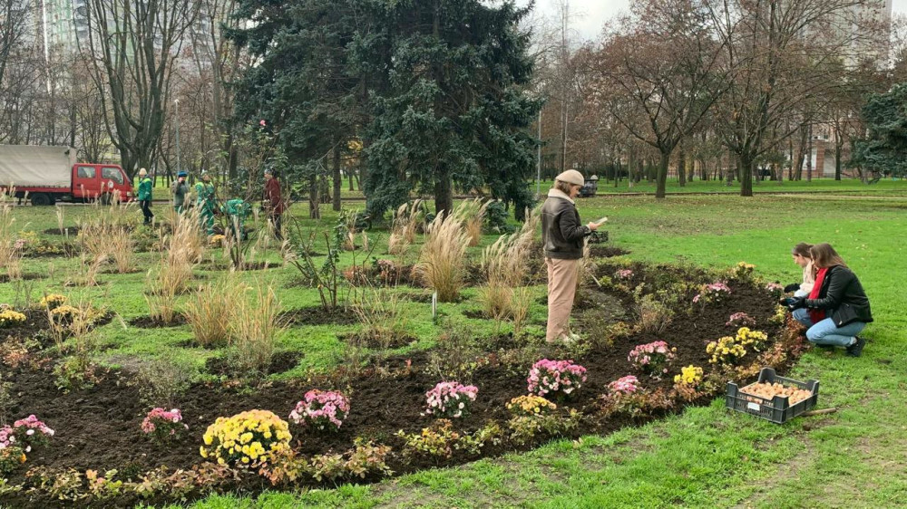 7919 image for slide