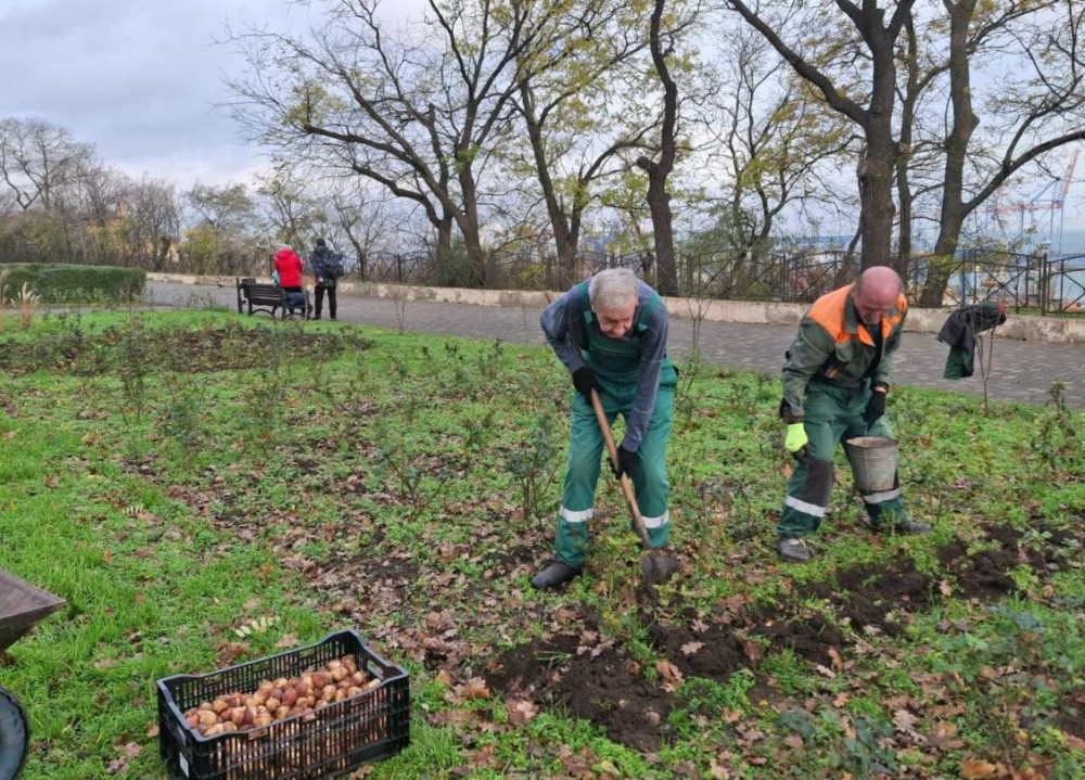 7921 image for slide