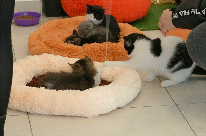 8104 image for slide