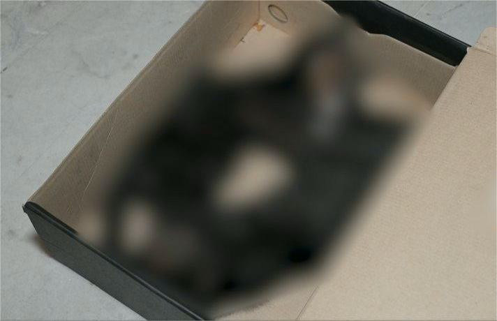 8107 image for slide