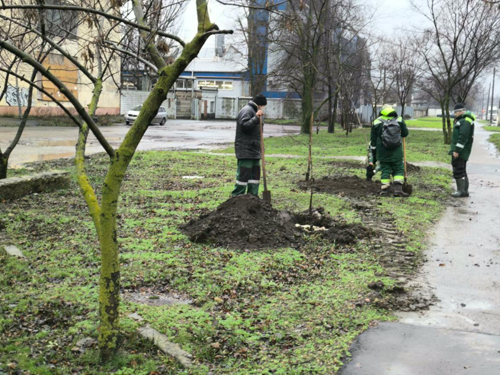 8177 image for slide