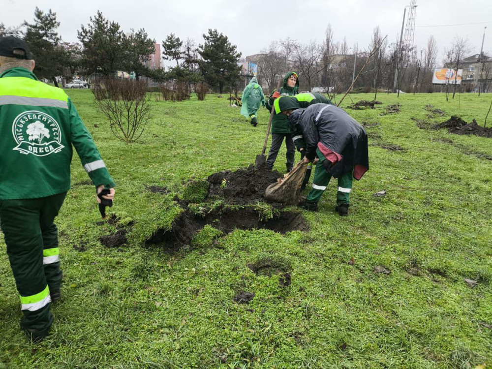 8179 image for slide