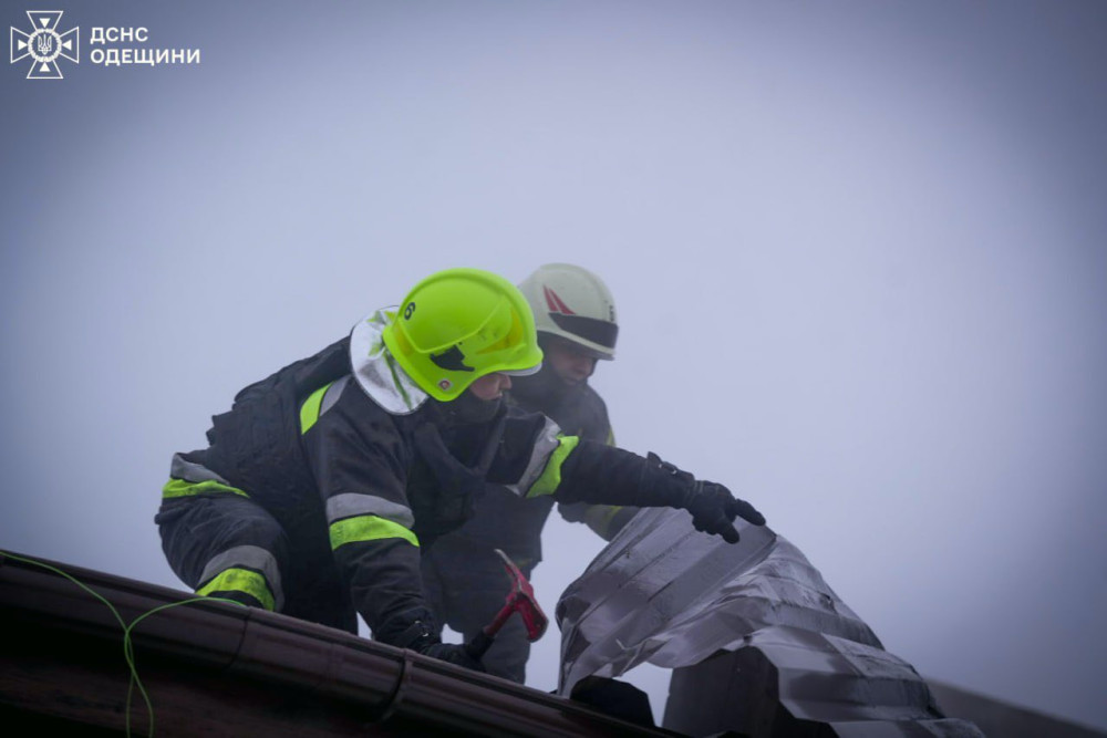 8204 image for slide