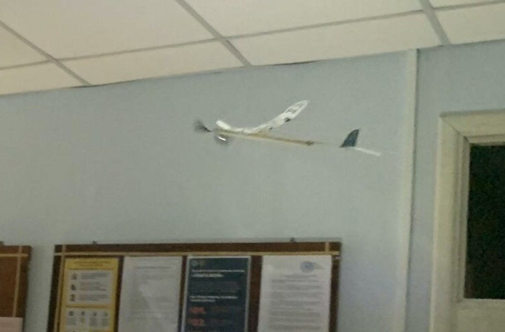 8293 image for slide